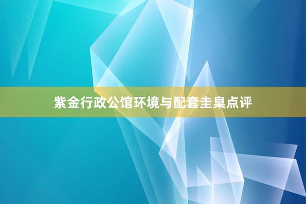 紫金行政公馆环境与配套圭臬点评